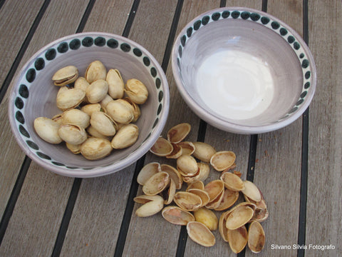 Baritono - Bowl - Small